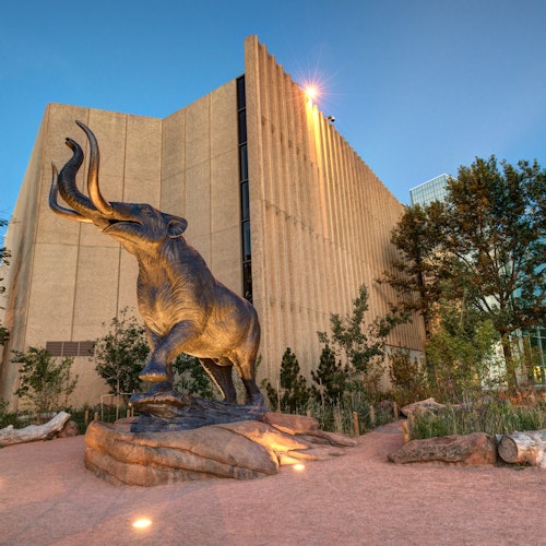 Museu de Natureza e Ciência de Denver