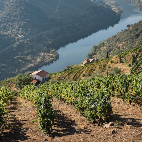 Tagesausflüge ins Douro-Tal ab Porto