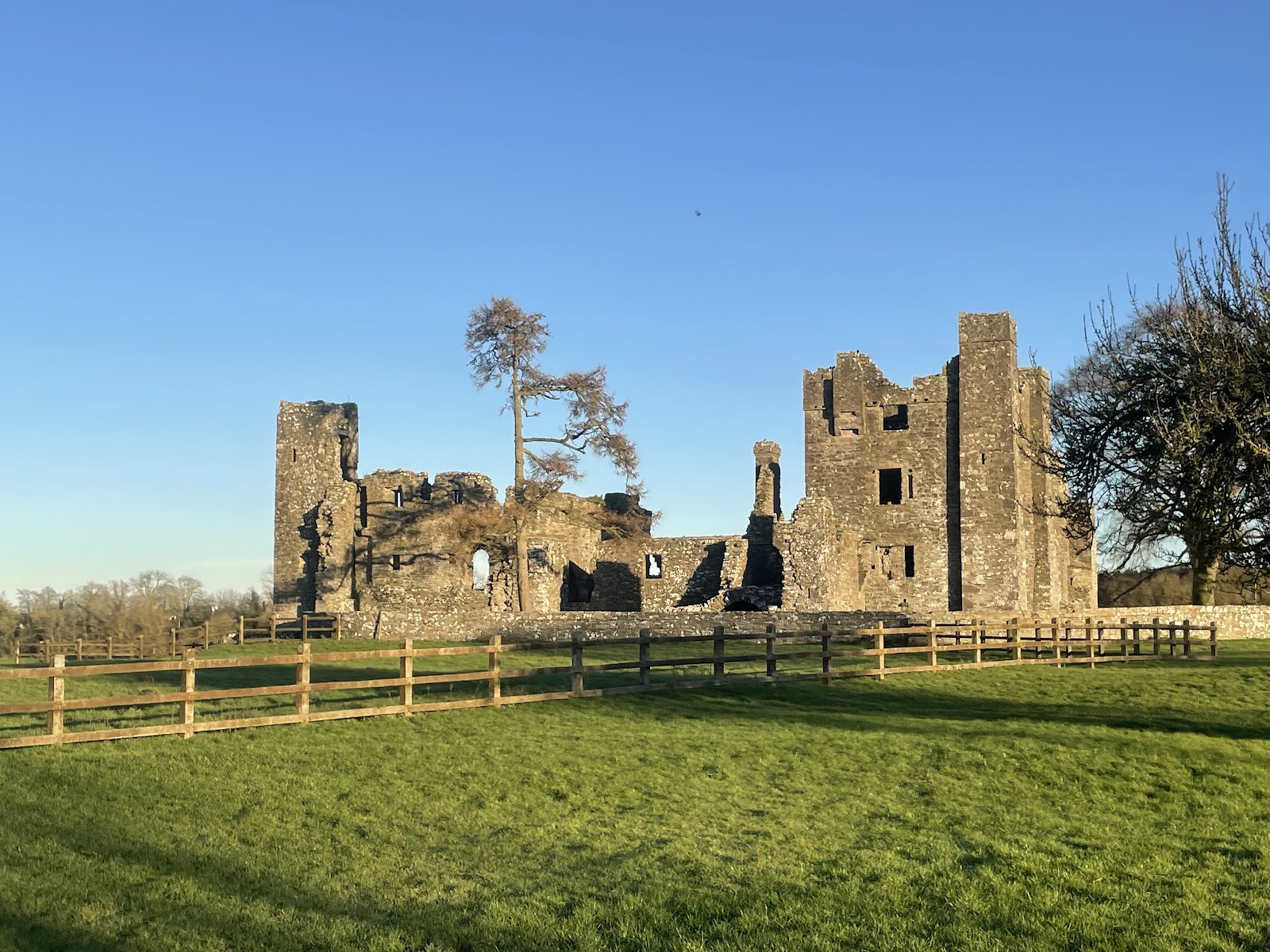 Bective Abbey