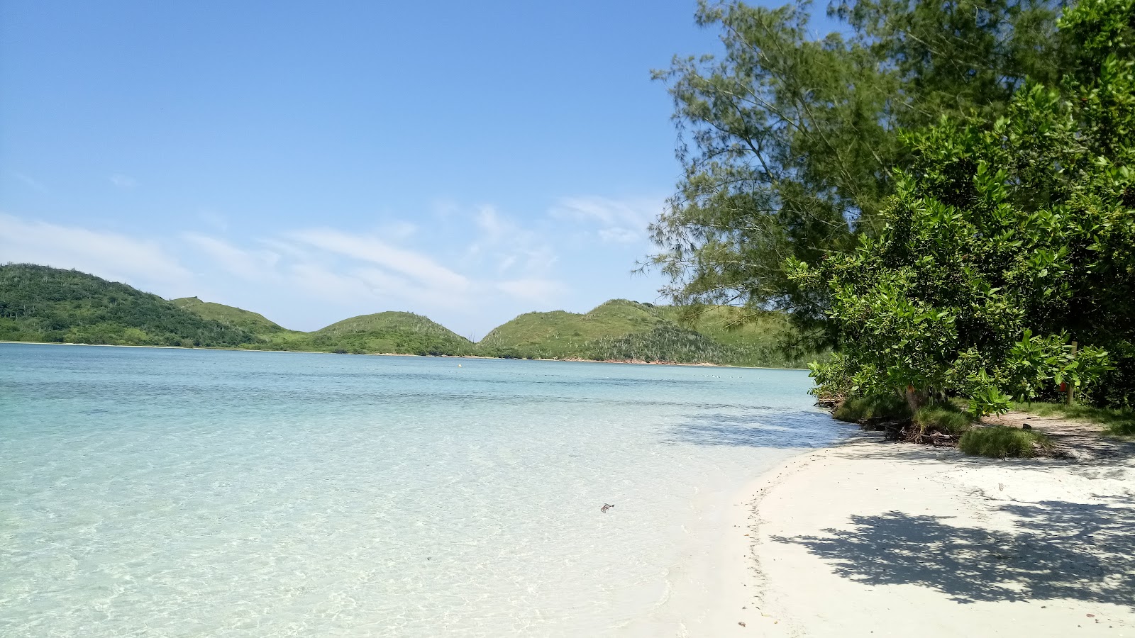 Ilha do Japonês