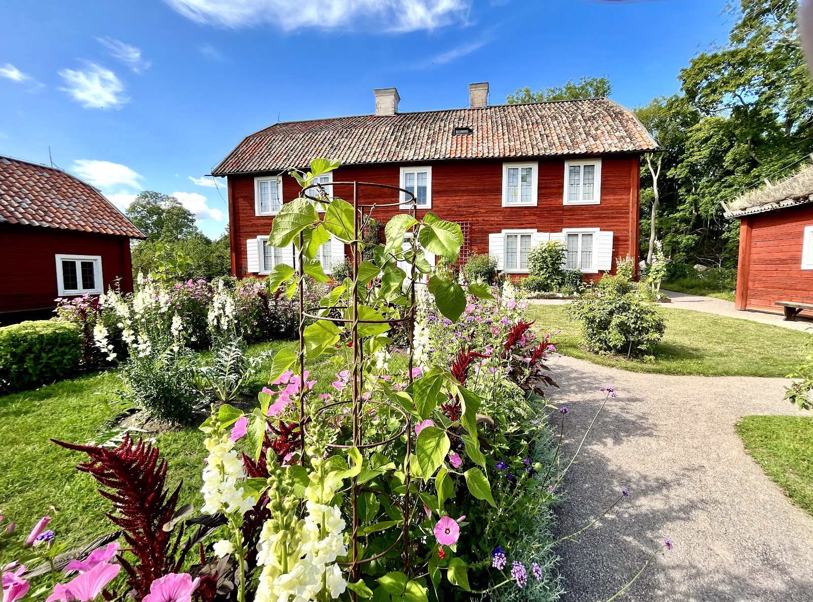 Linnaeus' Hammarby