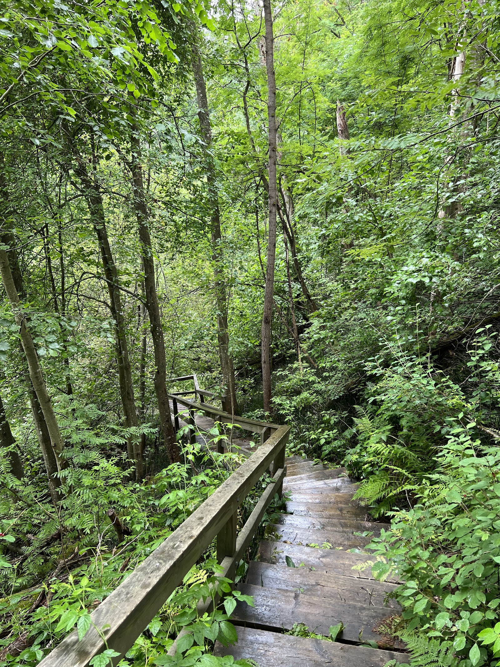 Tourujoki nature trail