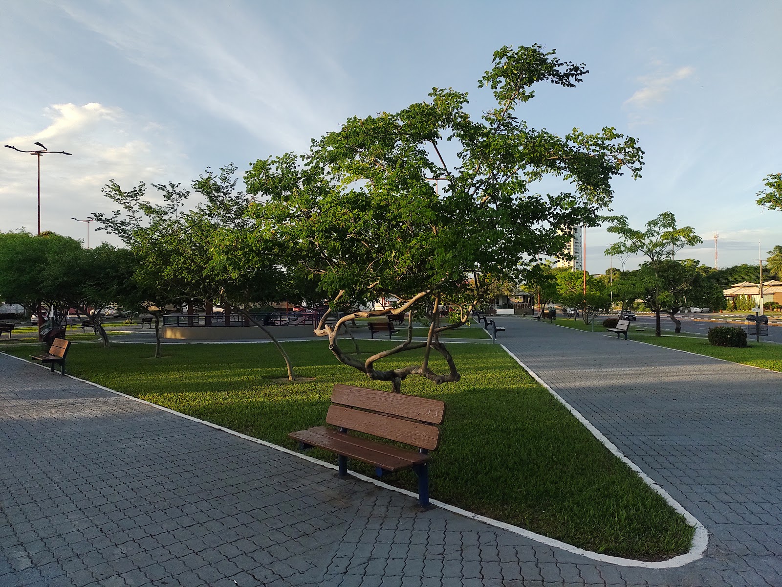 Square Amoca