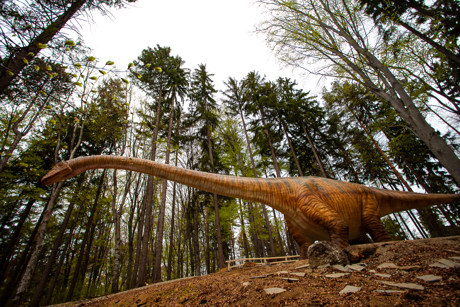 Dino Parc Râ?nov
