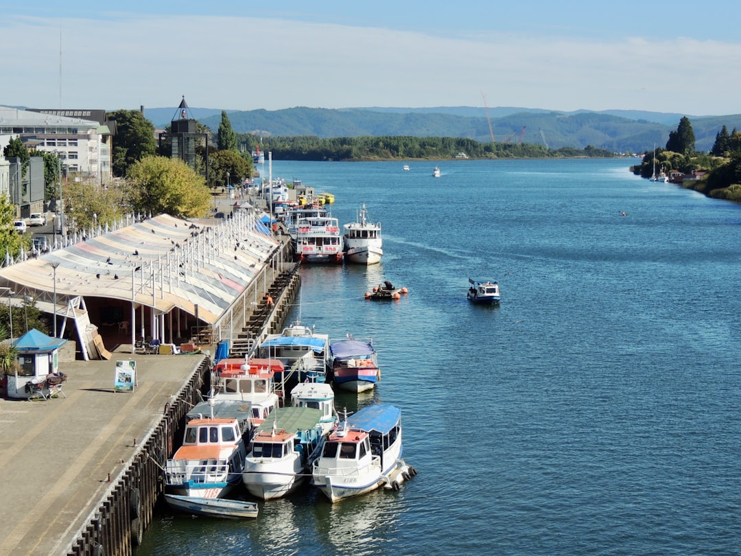 Flussmarkt von Valdivia