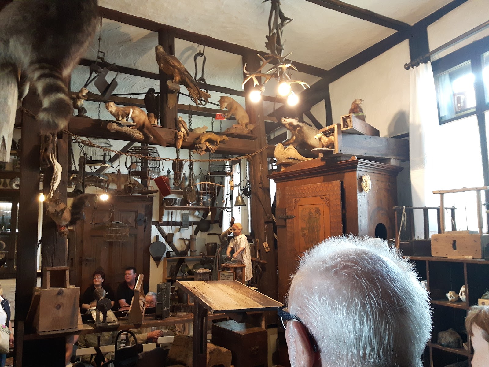 Mouse Trap and curio museum