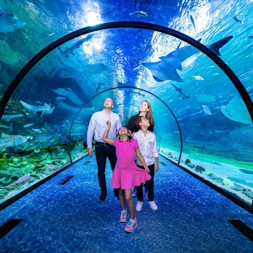 National Aquarium Abu Dhabi
