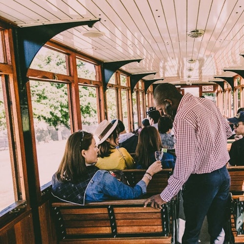 Excursiones de un día desde Ciudad del Cabo