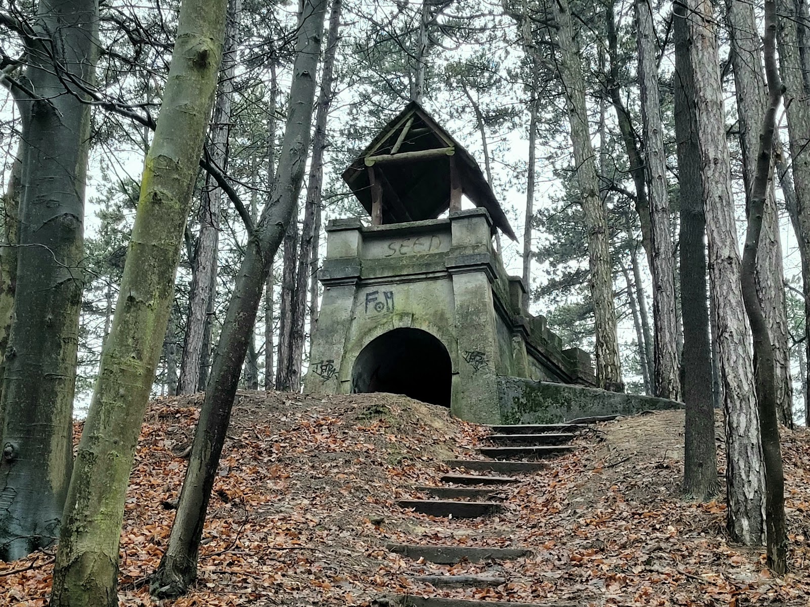 Brezina Forest Park
