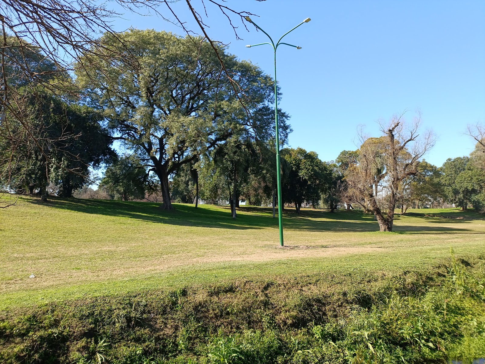 Guillermina Park
