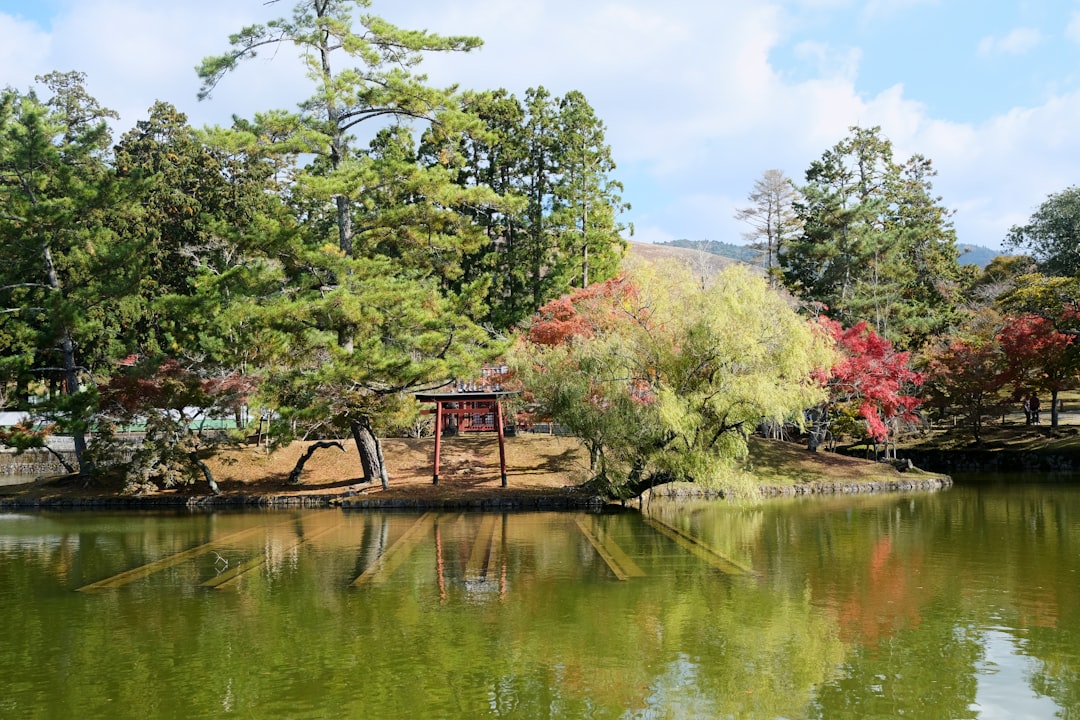 Nara-Park