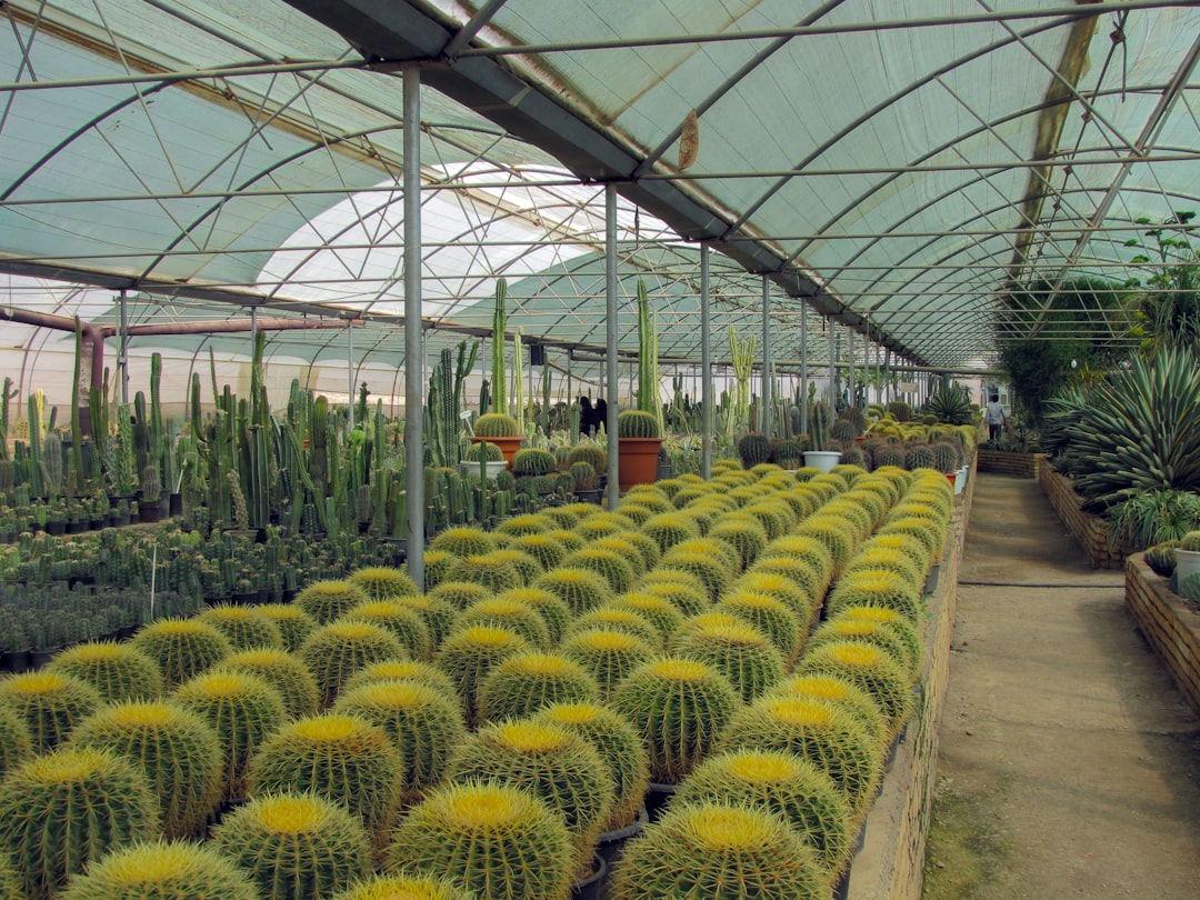 Florentino Ameghino Nursery