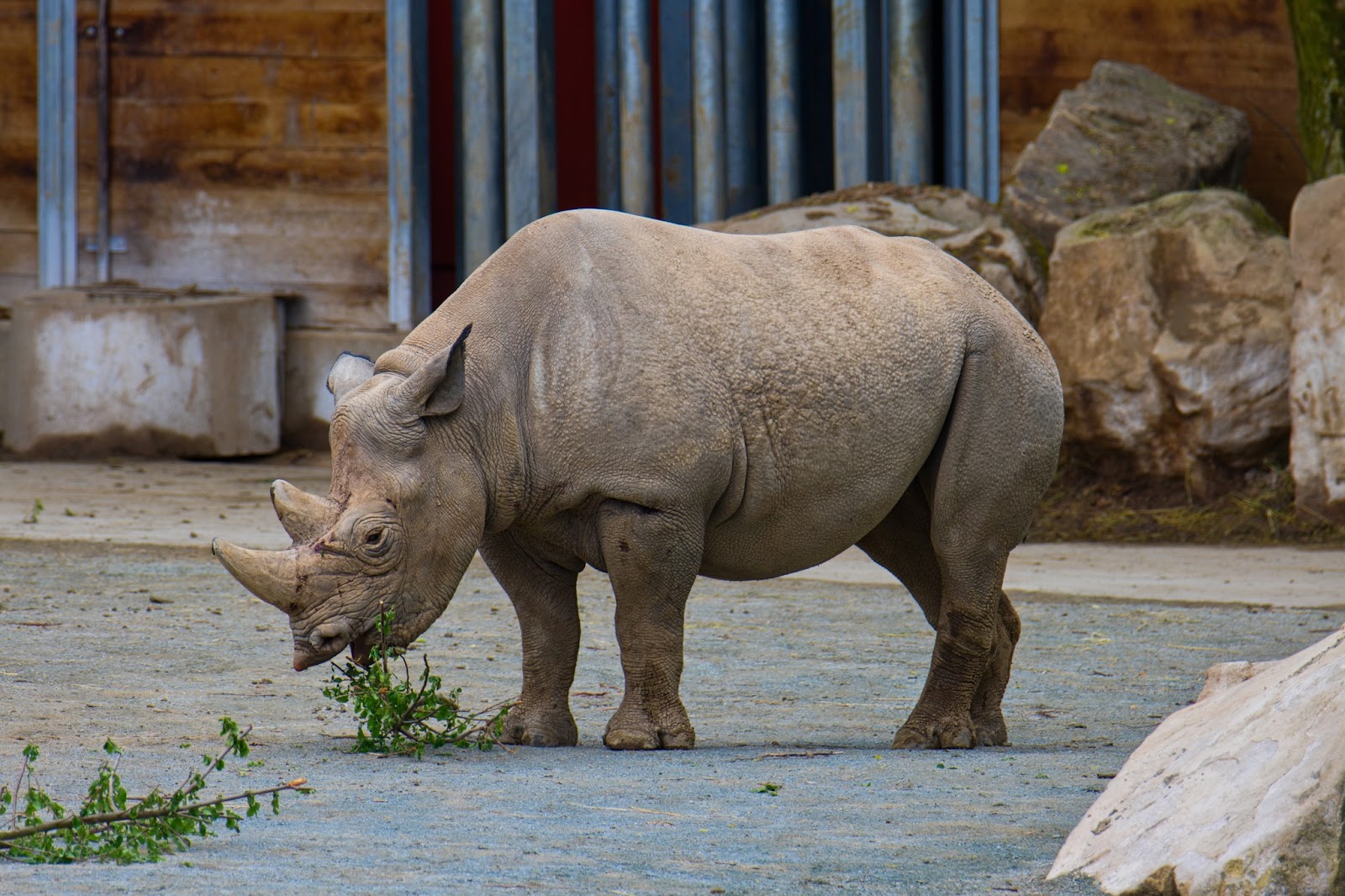 Safari Park Dvur Králové