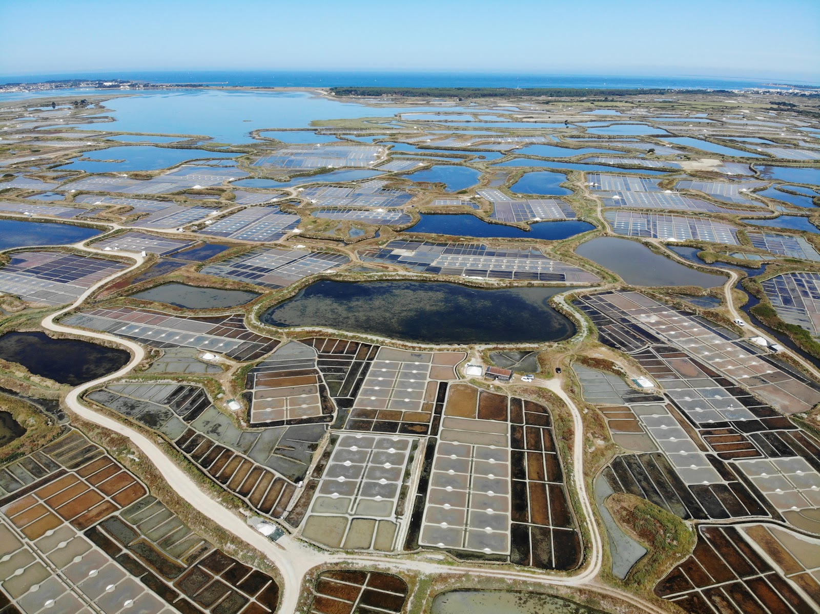 Marais salants de Guérande