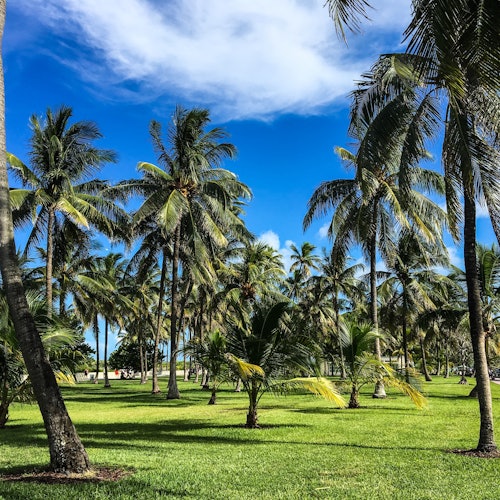 Lummus Park