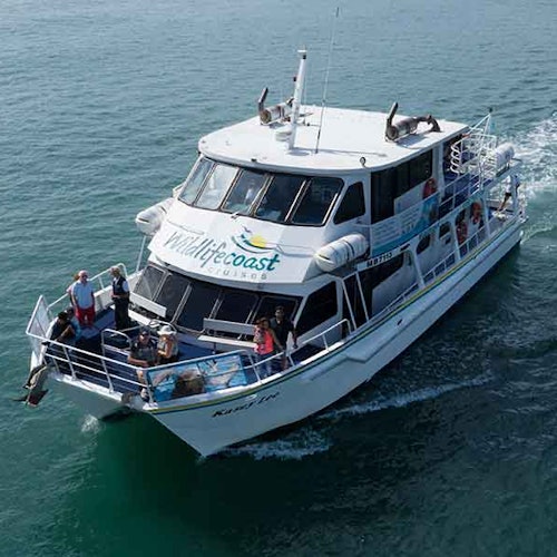 Passeios de barco pela Costa da Vida Selvagem