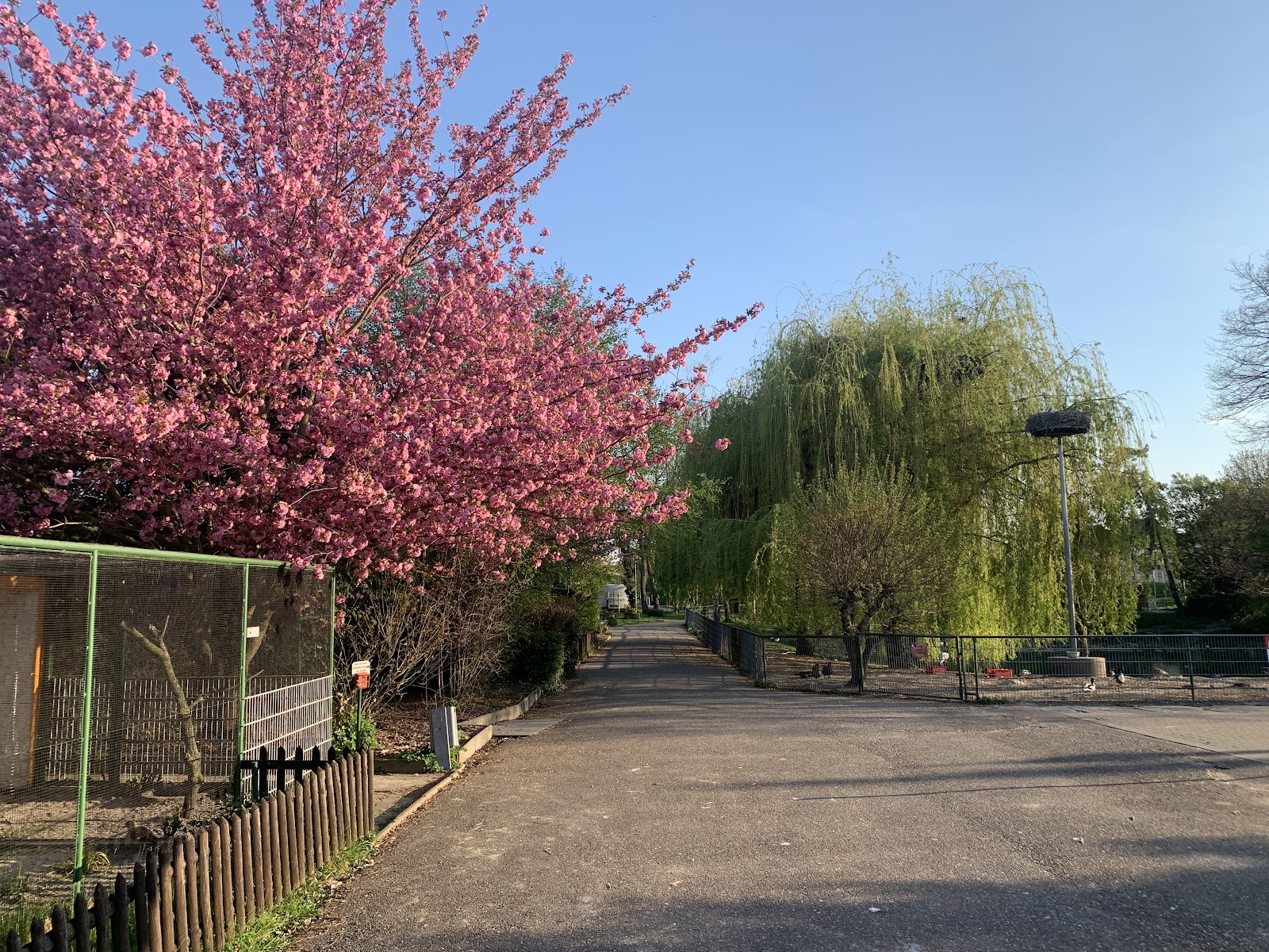 Vogelpark Bobenheim-Roxheim