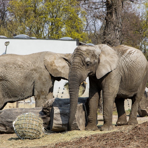 Warsaw Zoo