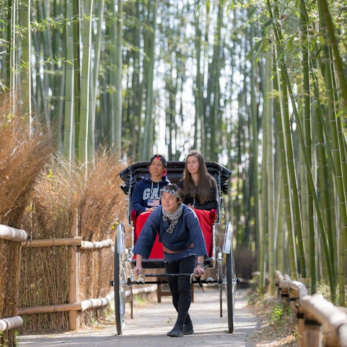 Tagesausflüge ab Kyoto
