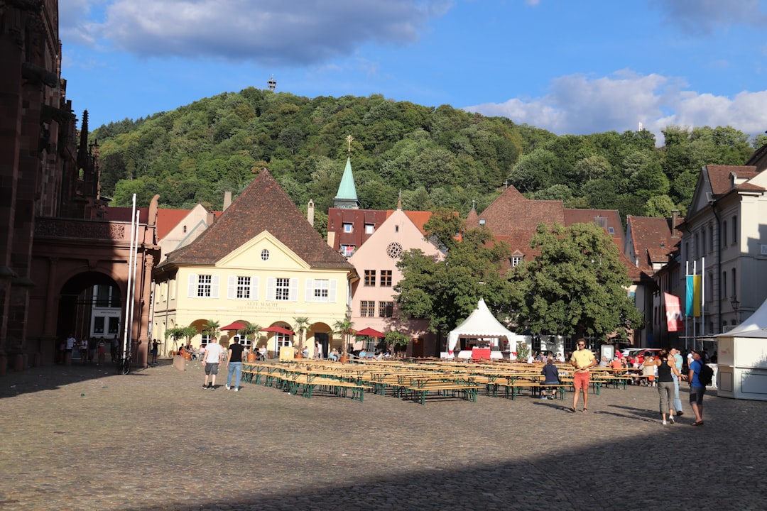 Freiburg Bächle