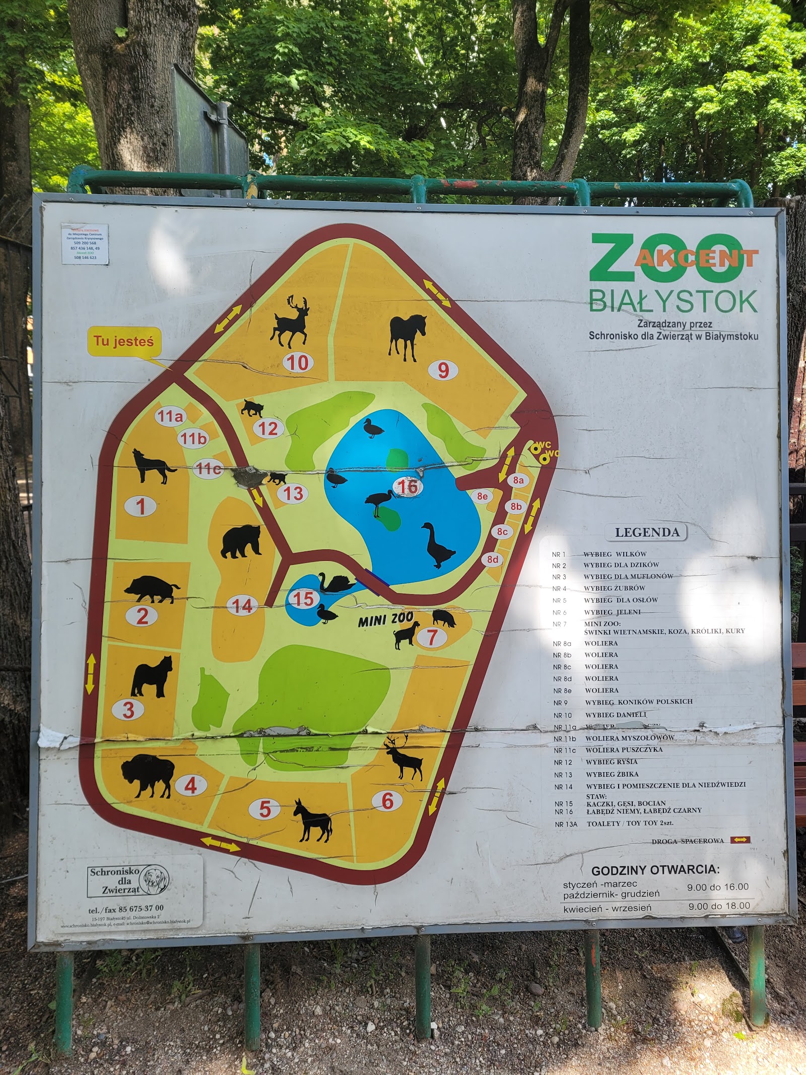 Akcent ZOO