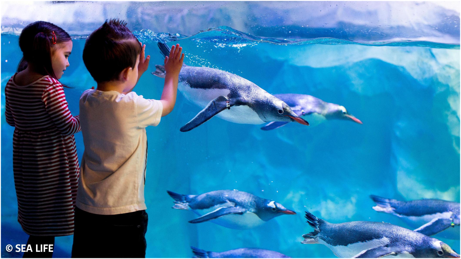 SEA LIFE Konstanz