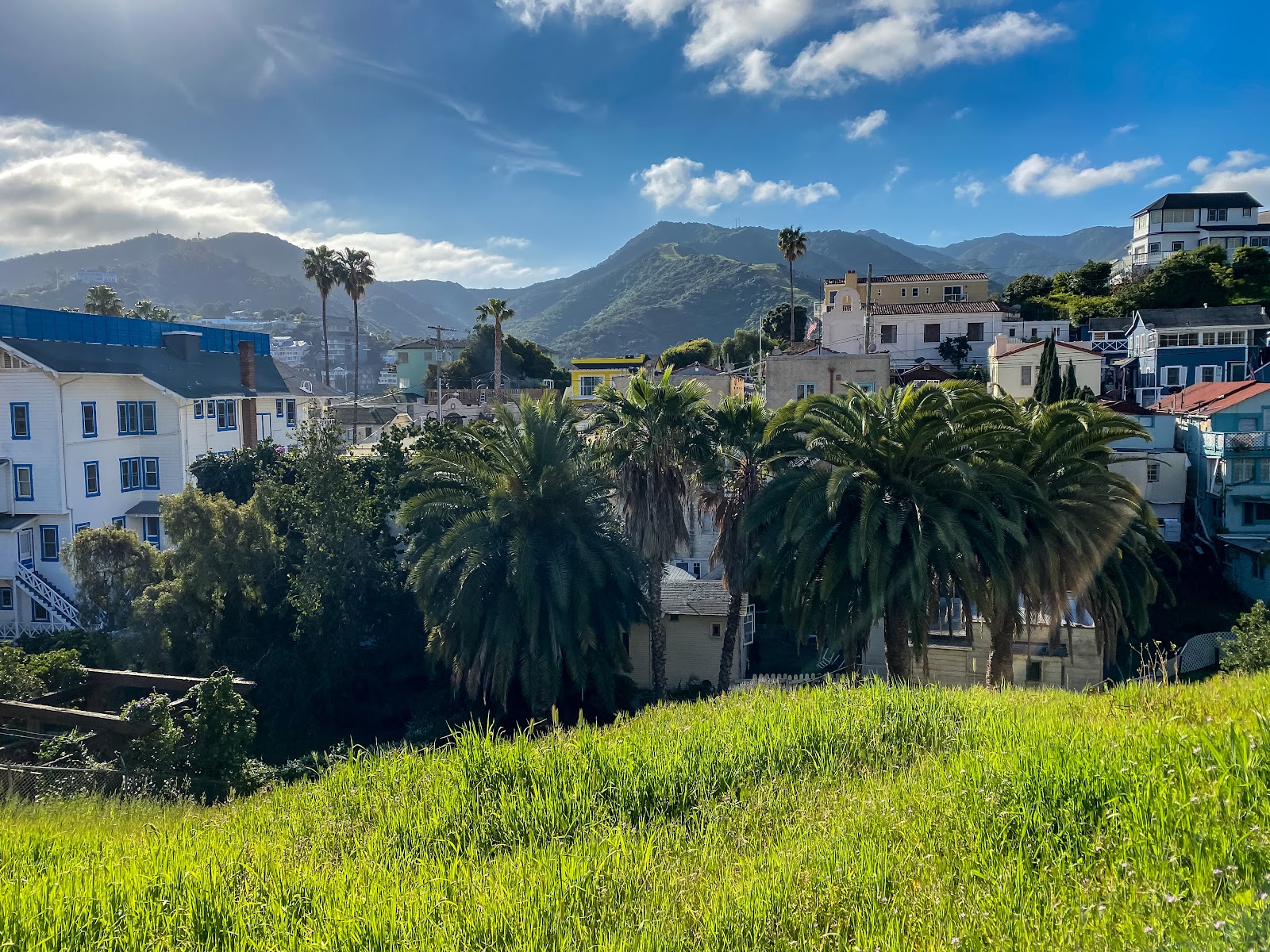 Avalon (Catalina Island)
