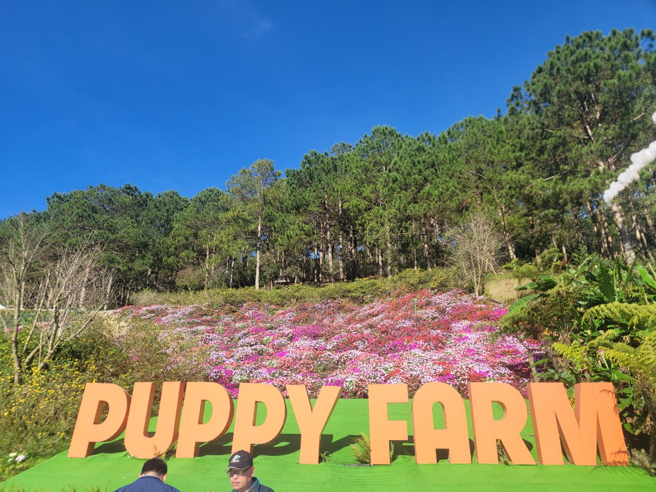 Da Lat