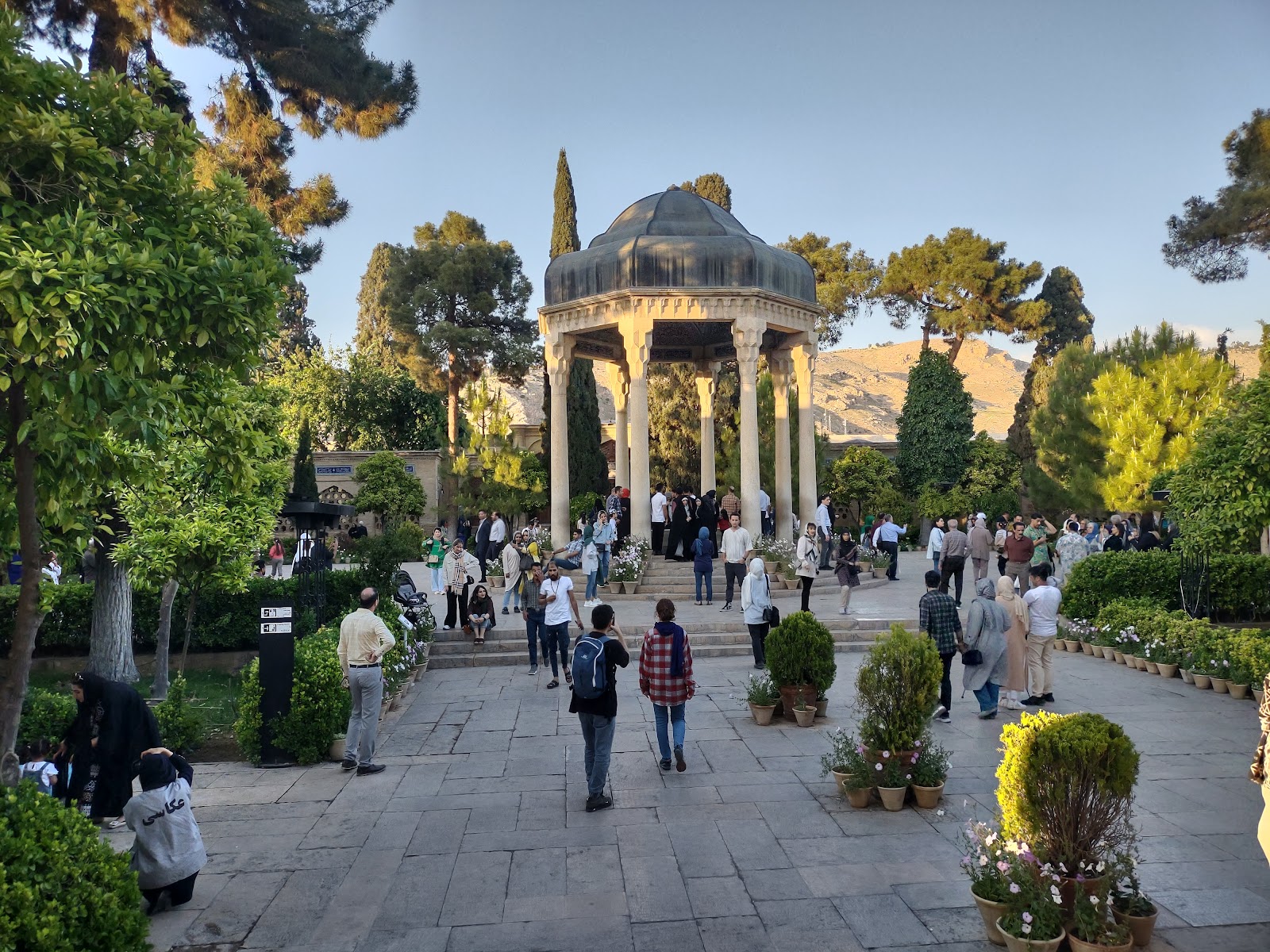 Shiraz