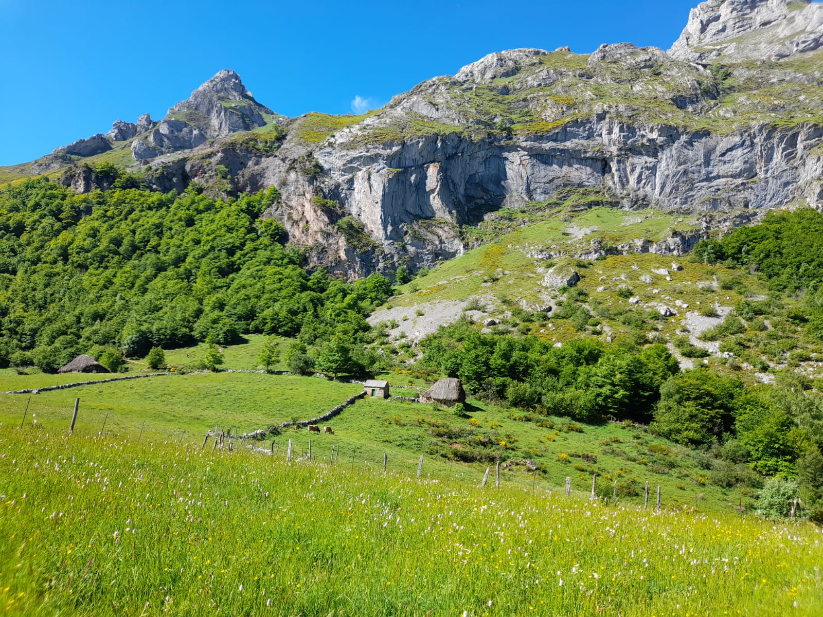Somiedo