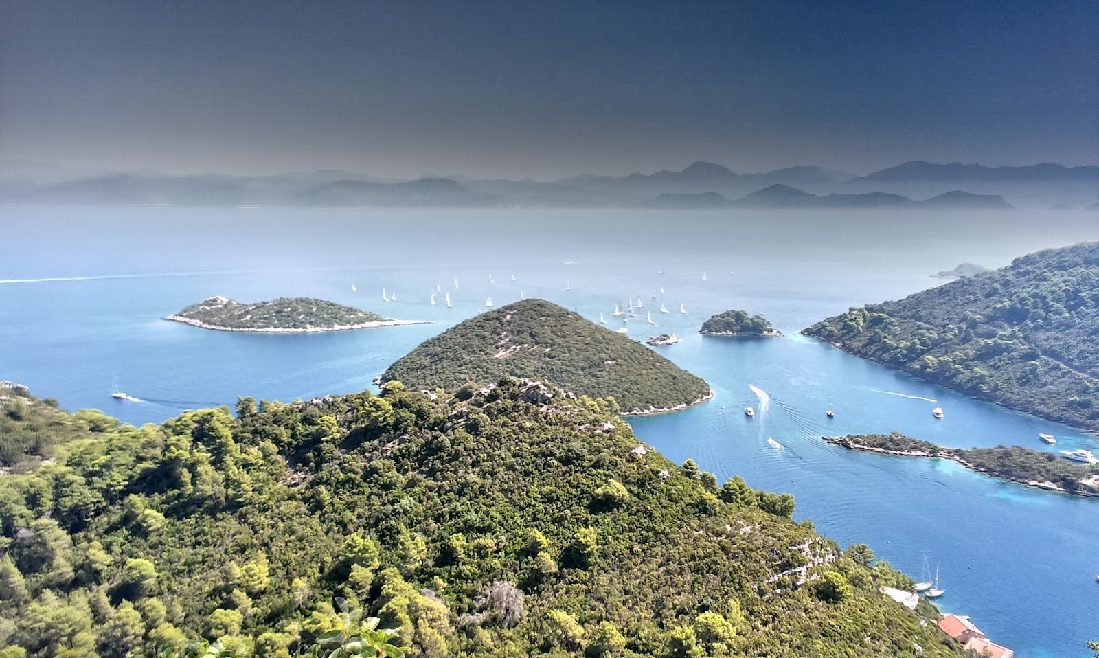 Mljet