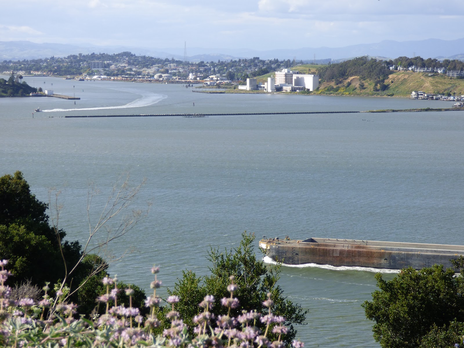 Vallejo