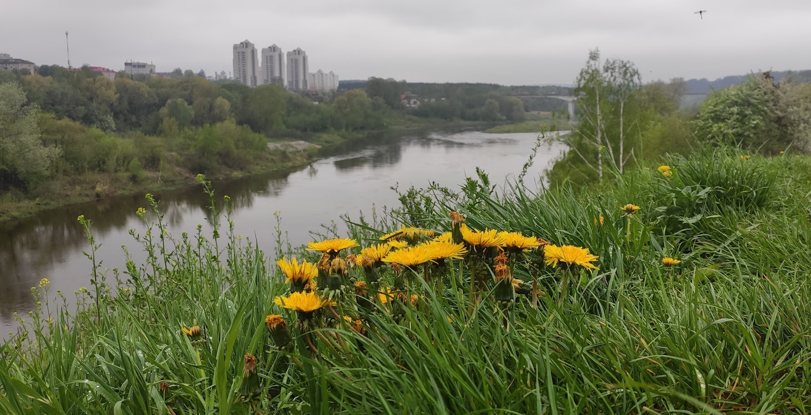 Grodno