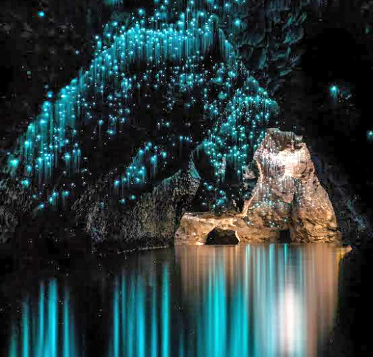 Waitomo Caves