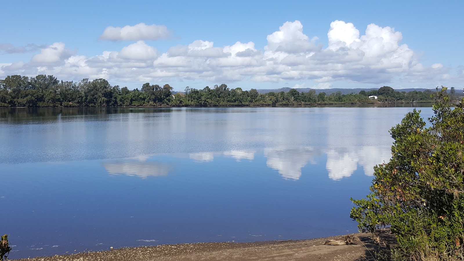 Taree