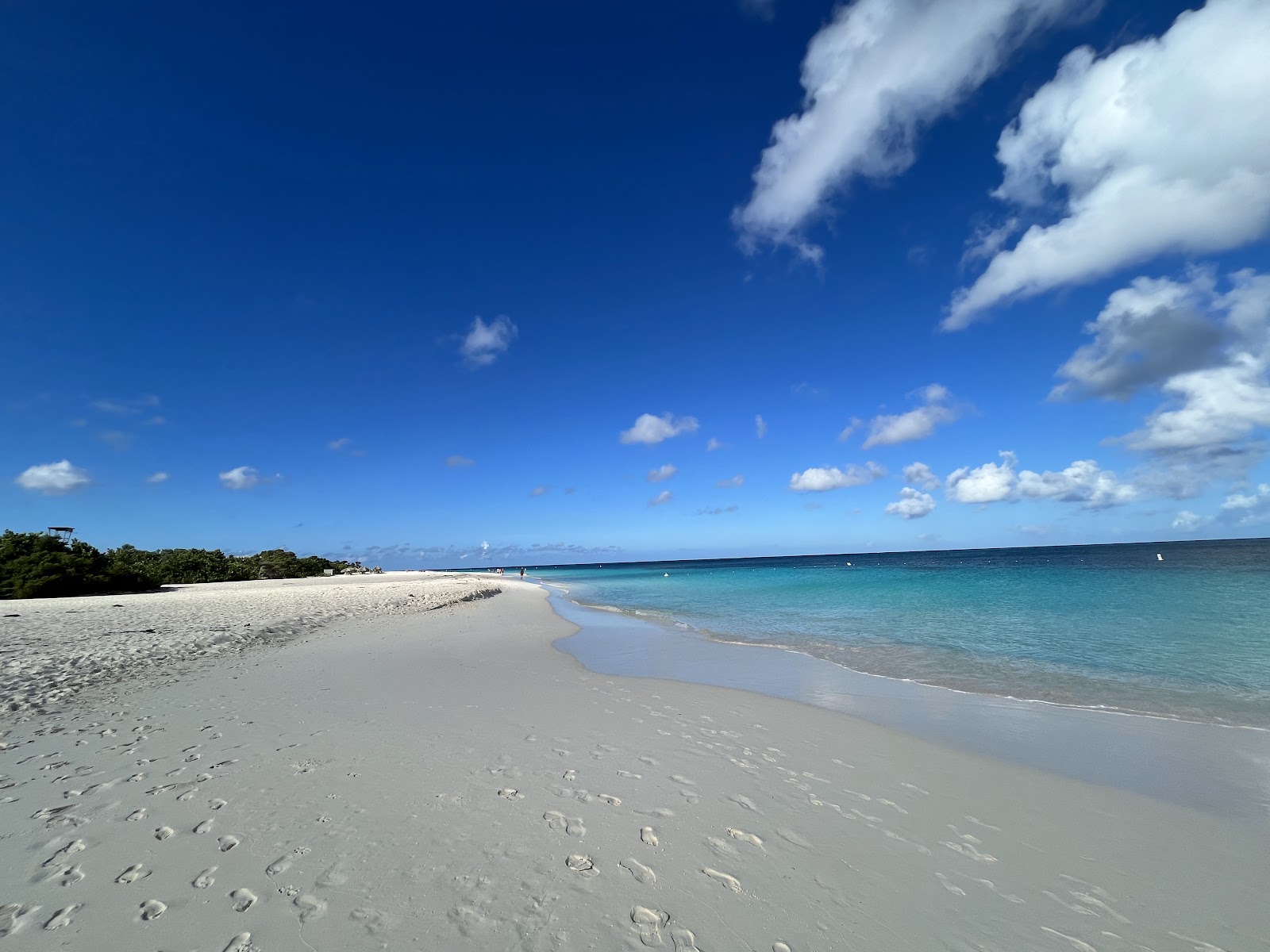Eagle Beach (Aruba)