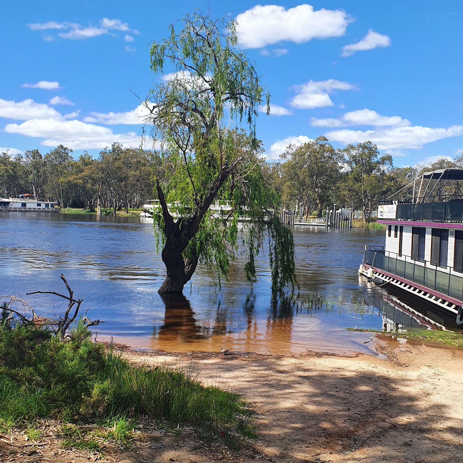 Mildura