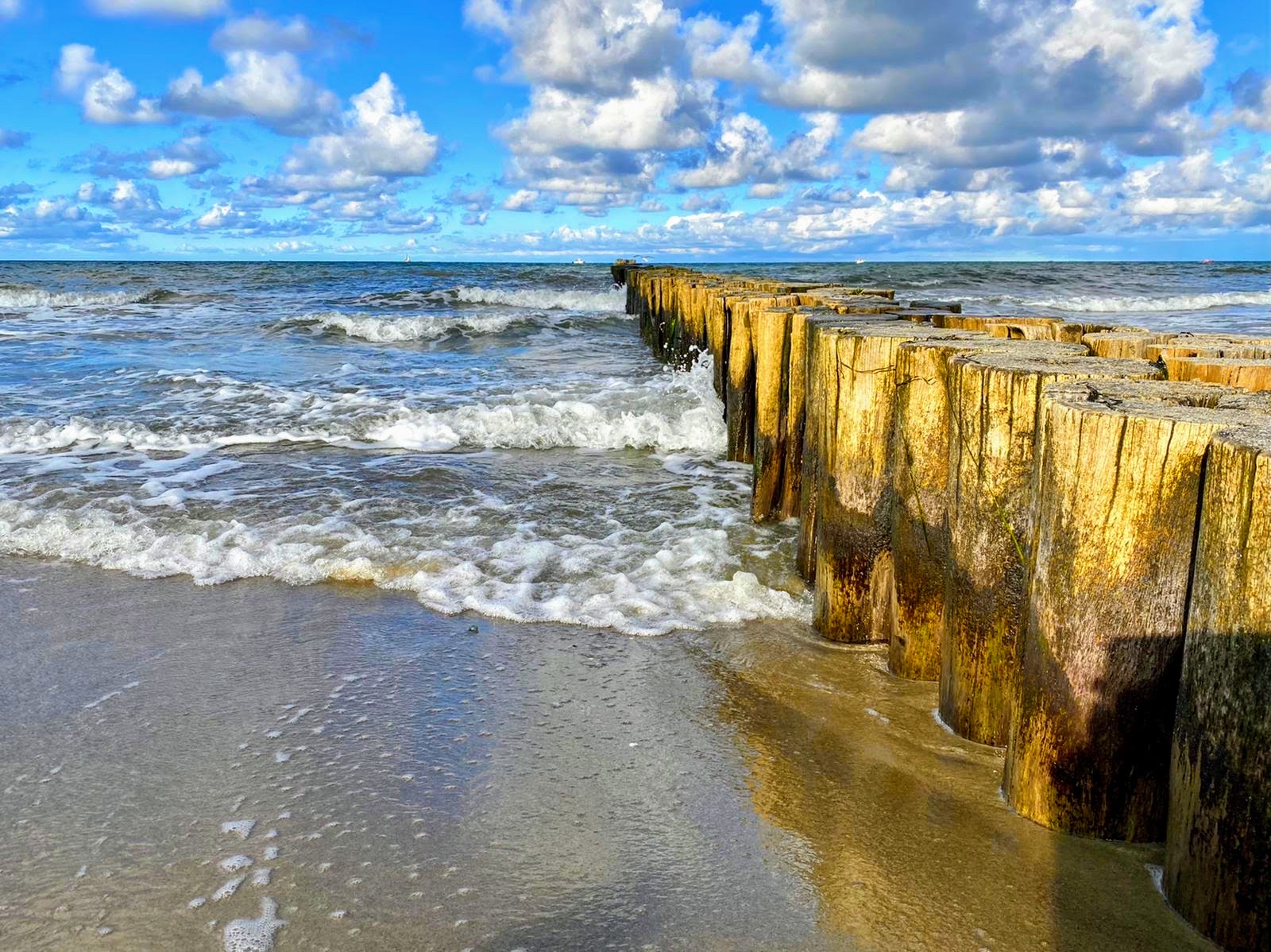 Sylt