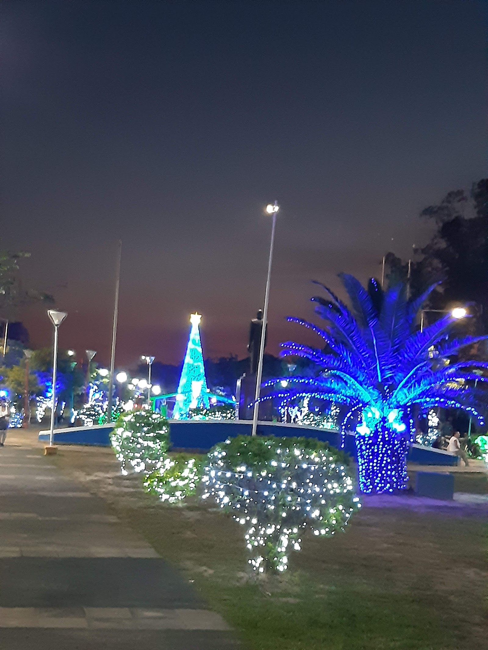 Clorinda