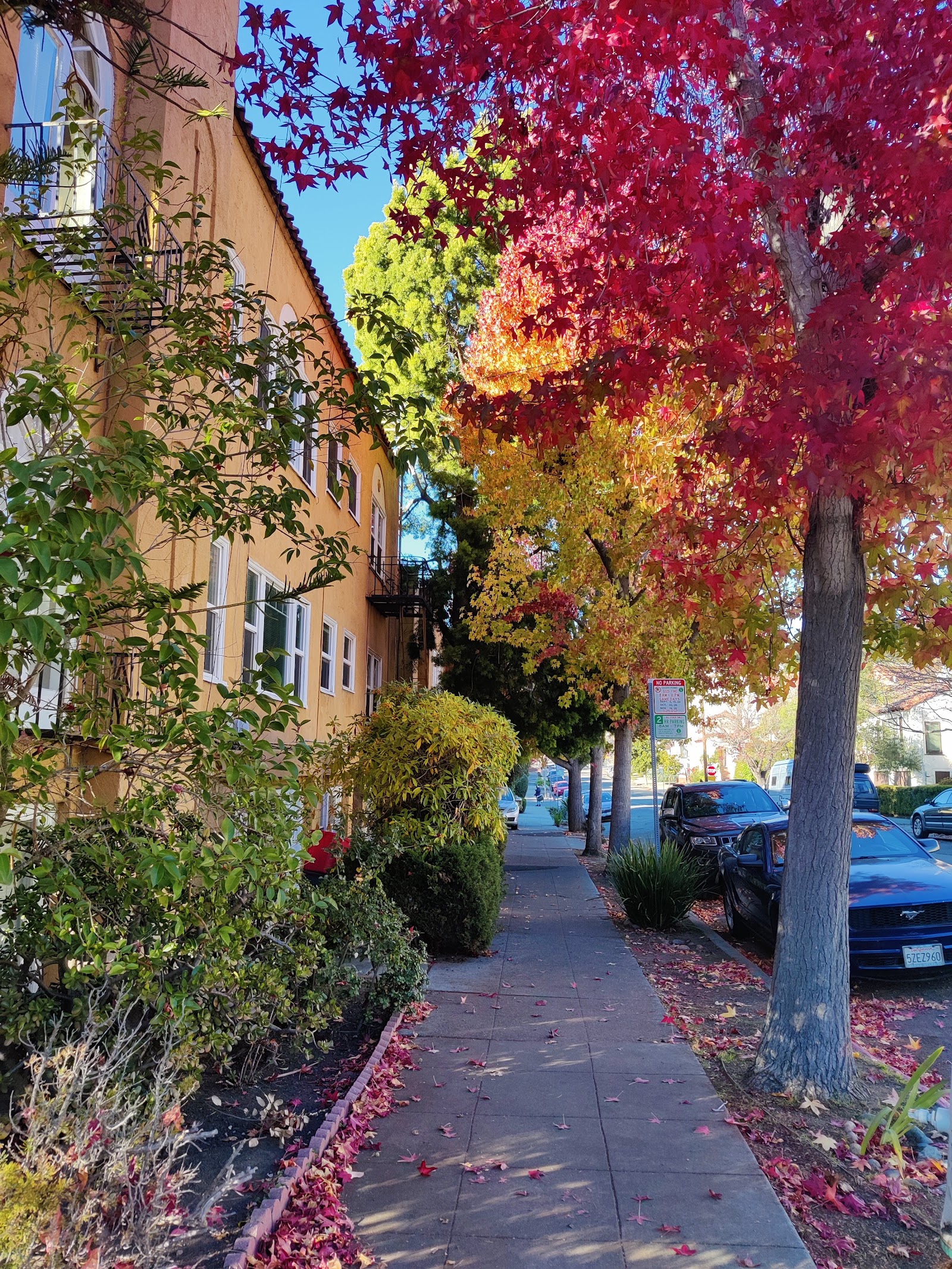 Berkeley