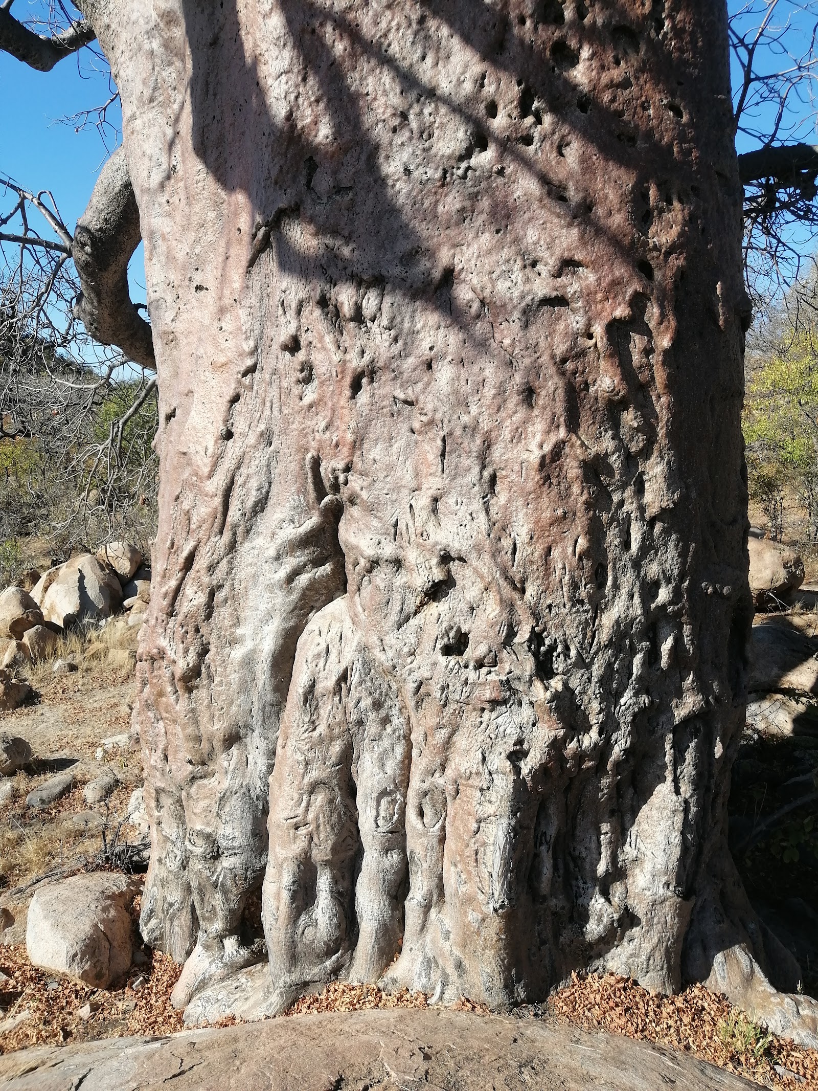 Selebi-Phikwe