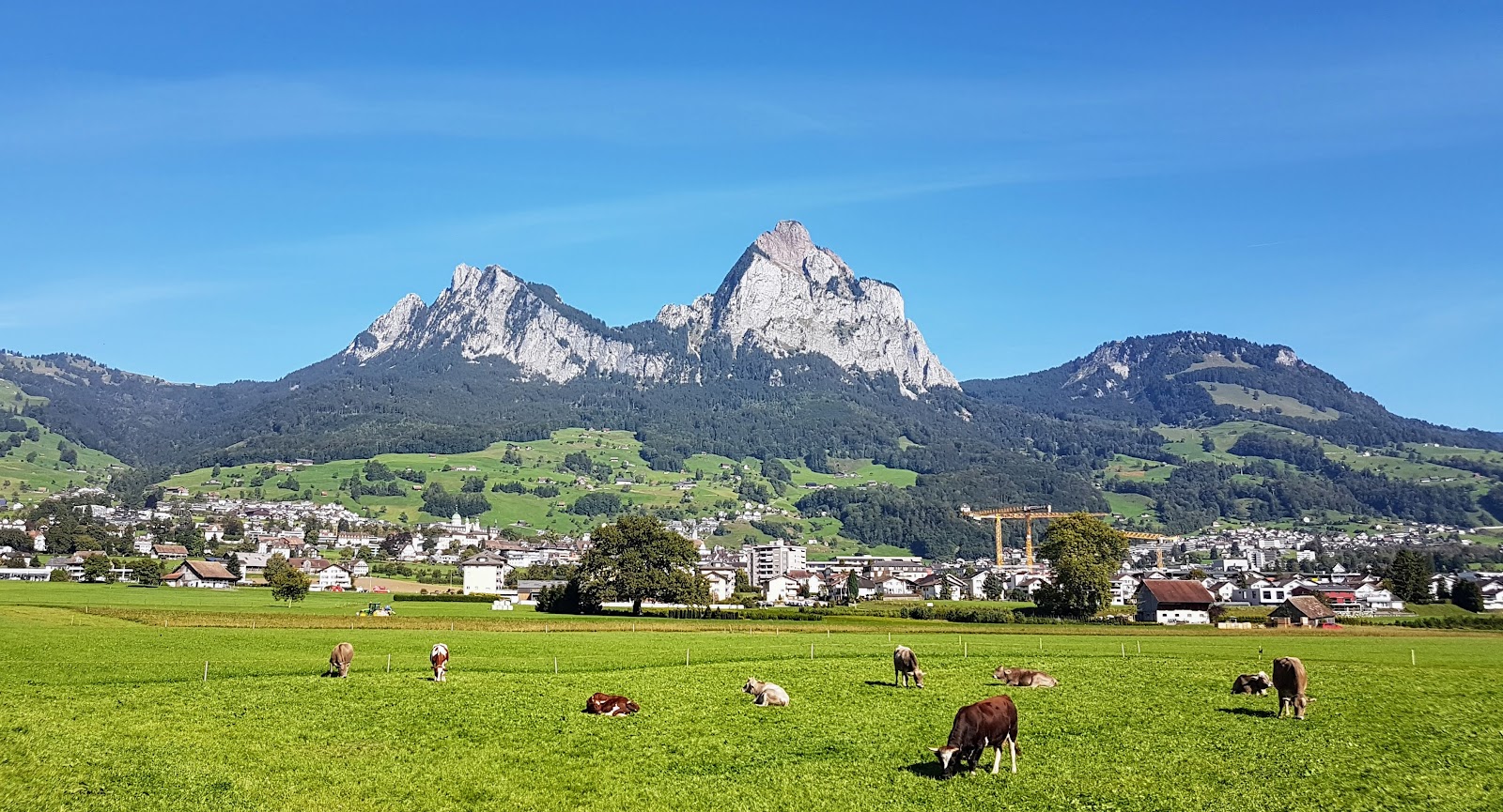 Schwyz