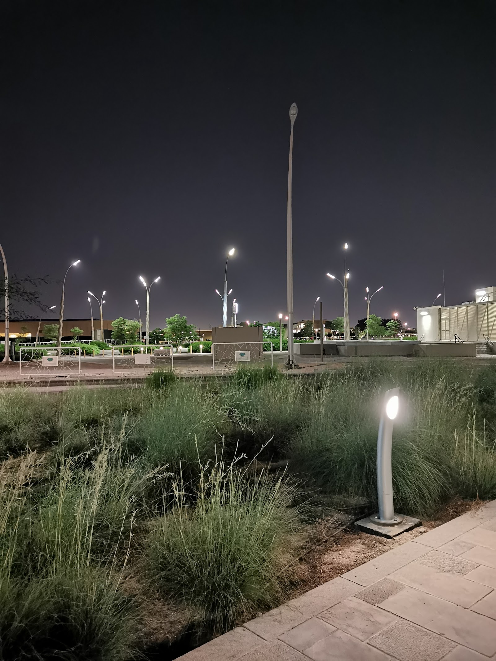 Al Rayyan