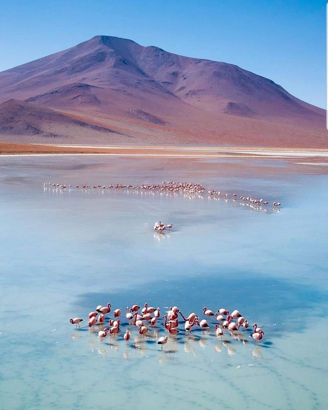 Laguna Colorada
