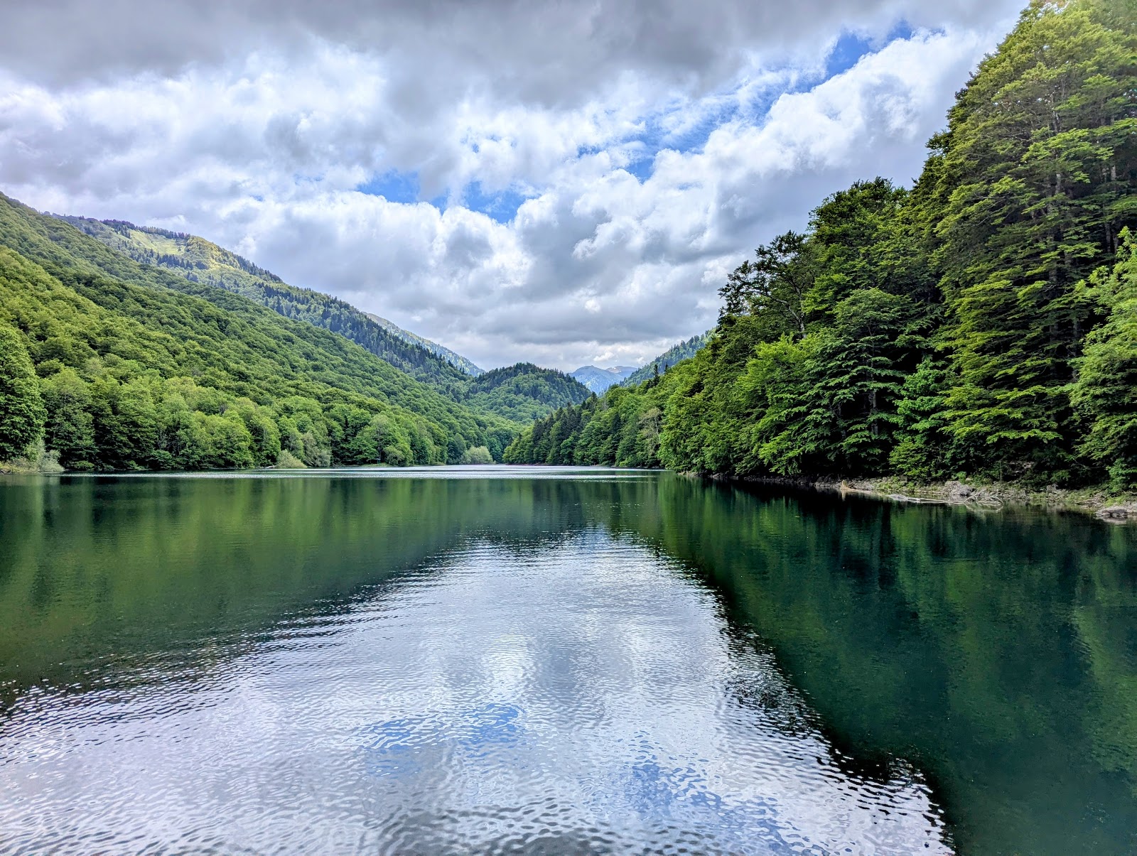 Biogradska Gora
