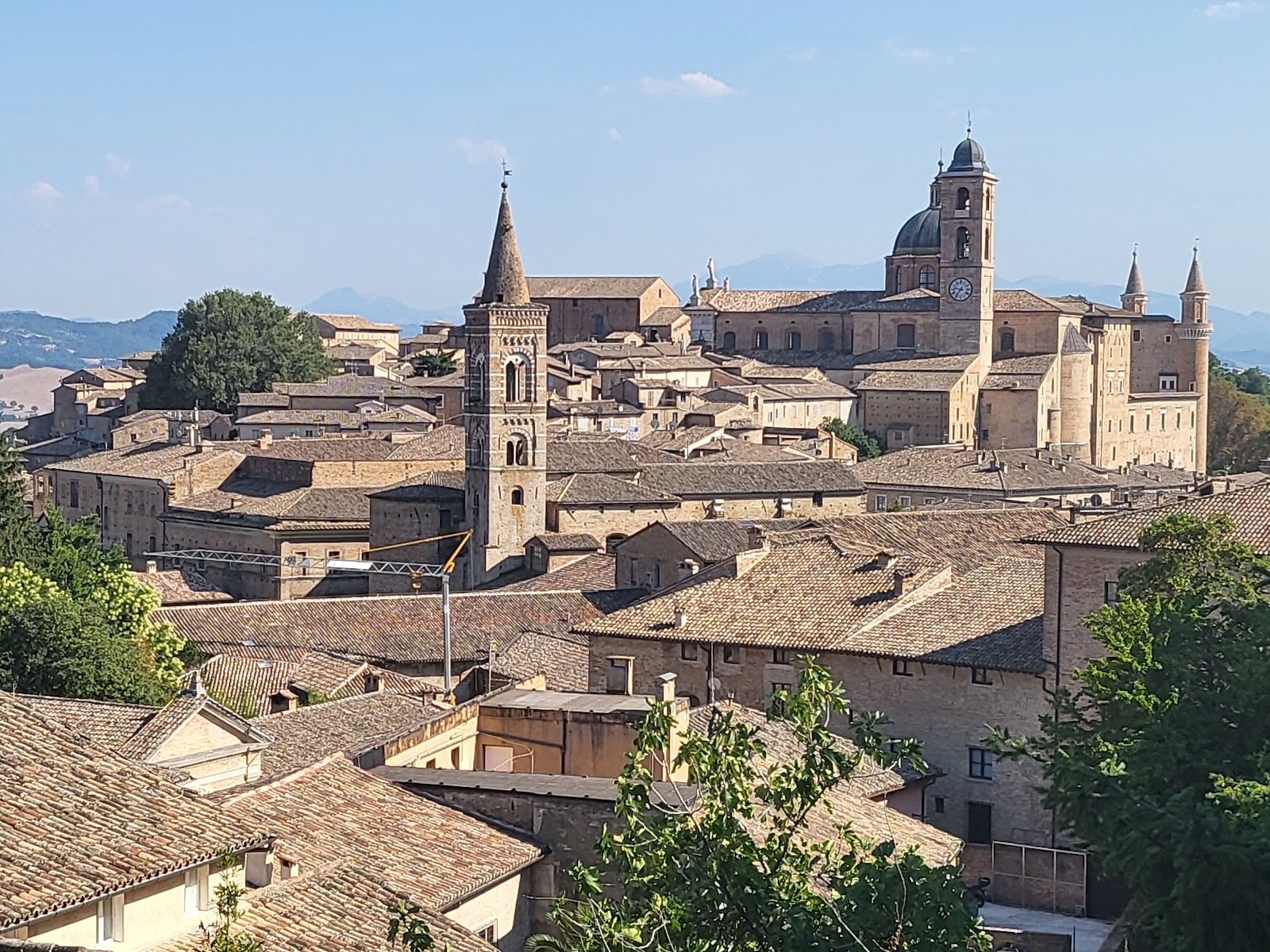 Urbino