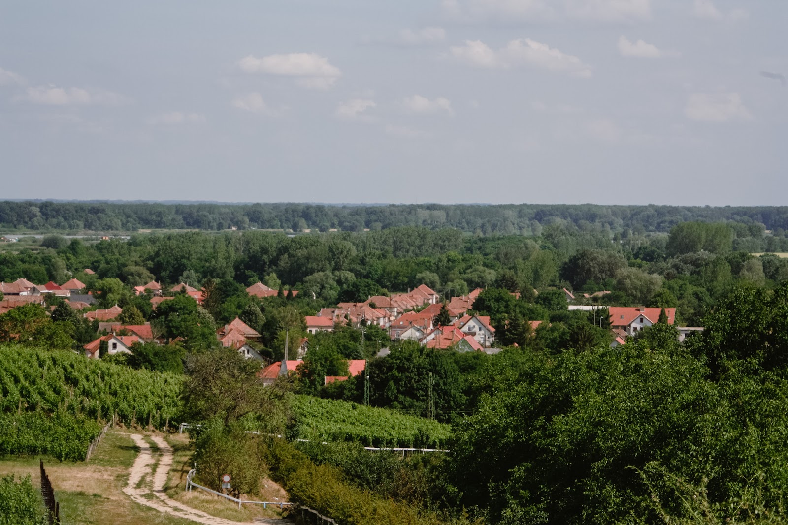 Tokaj