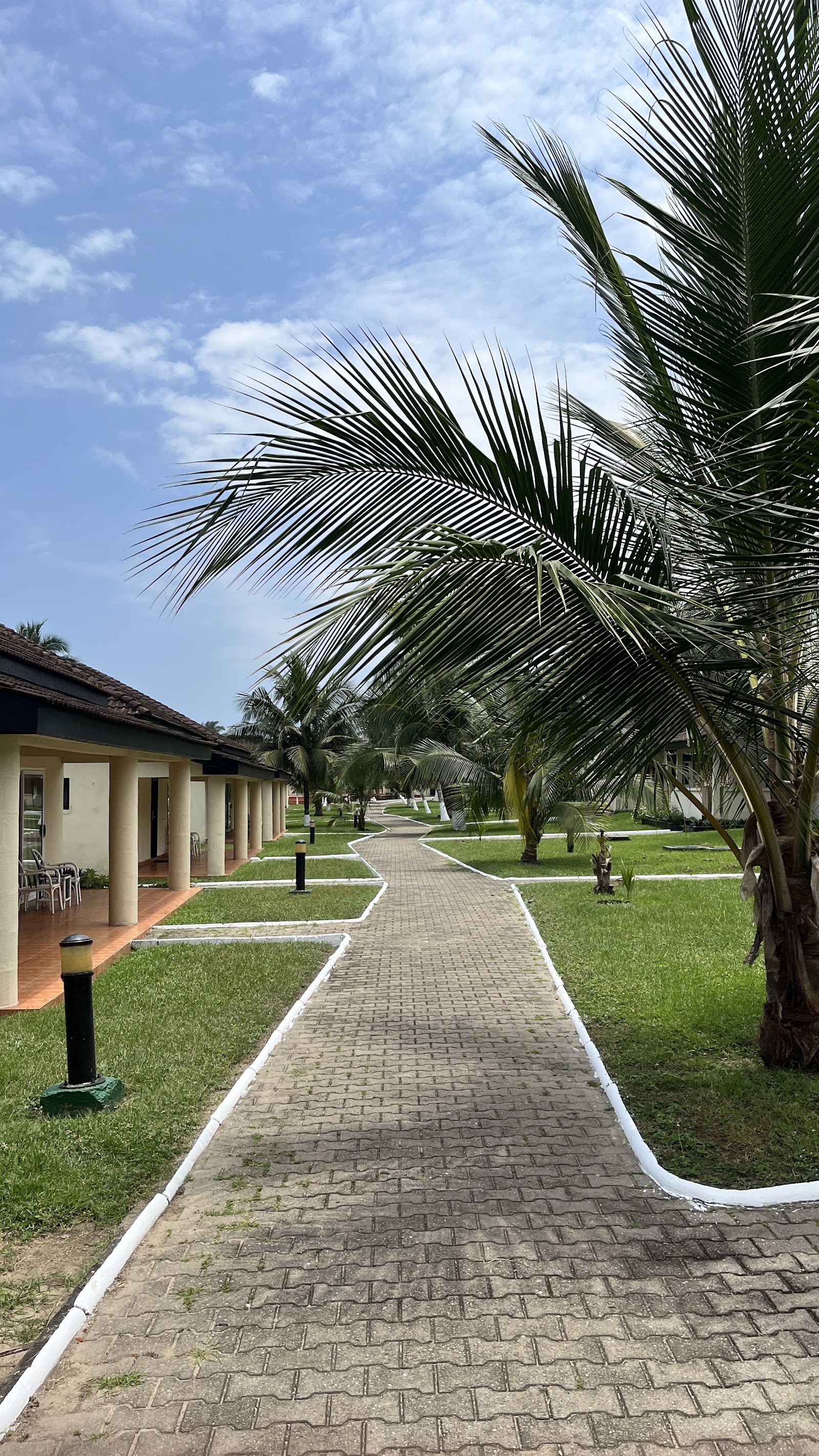Busua