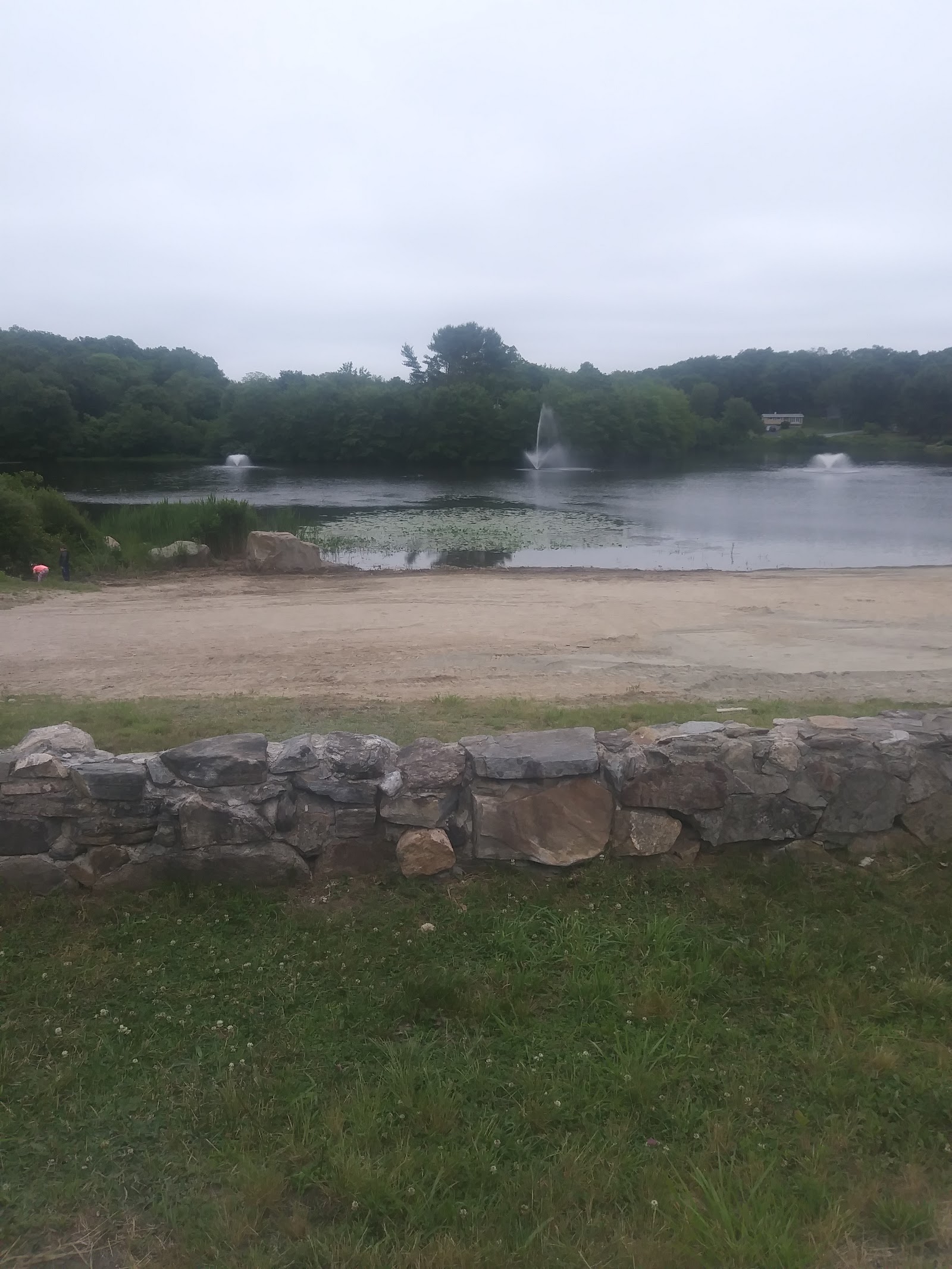 Ledyard