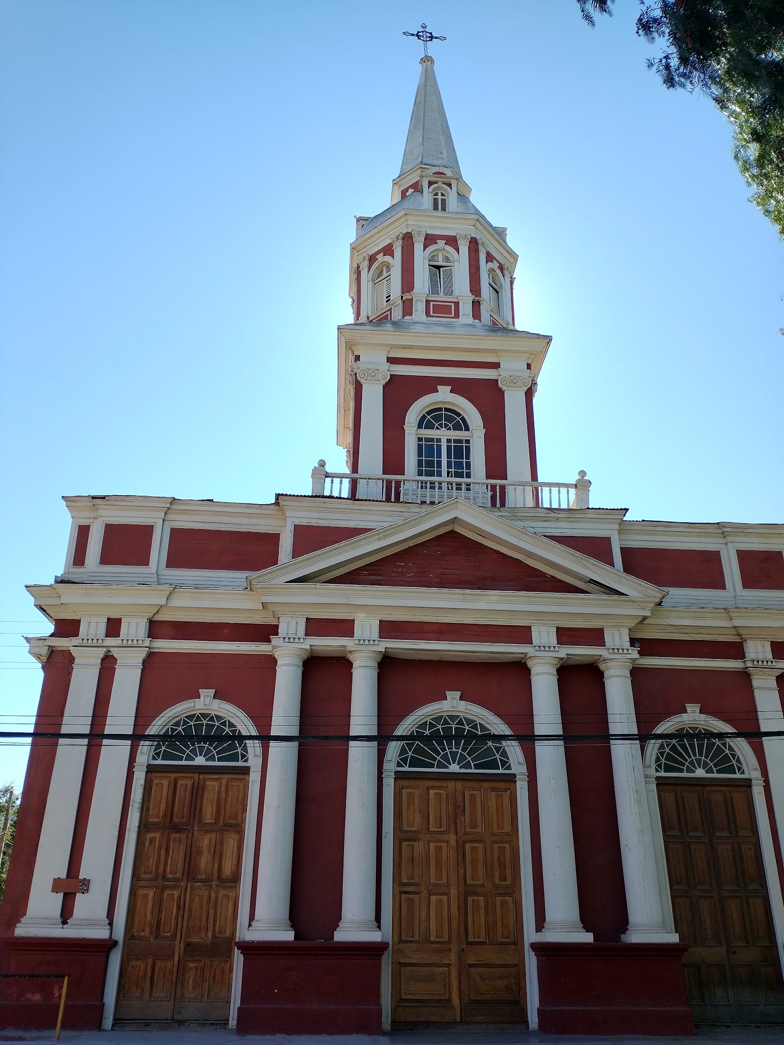 Vicuña